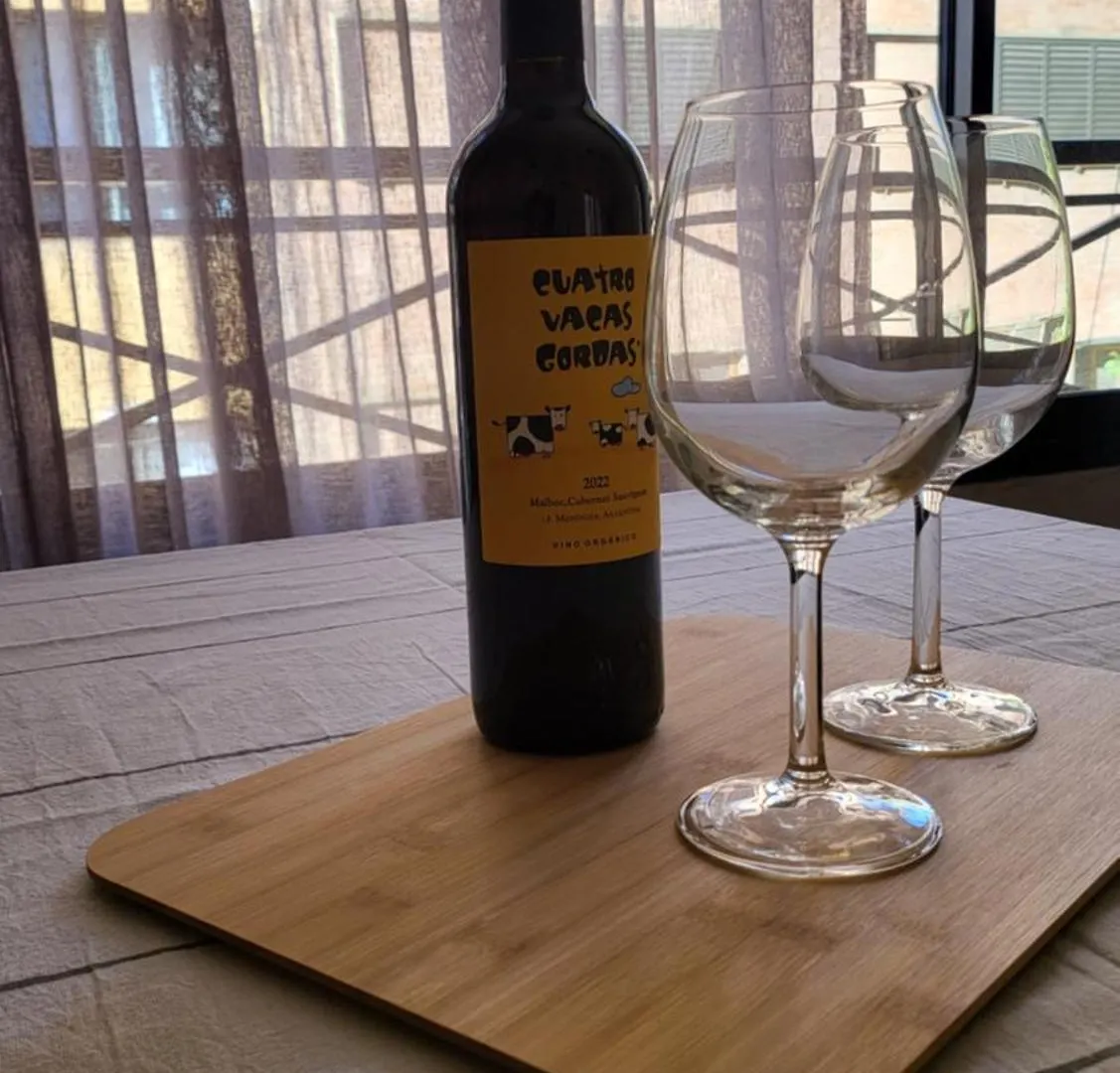 Departamento Mendoza. Nuevo Y Mejor Ubicacion Appartement Argentinië